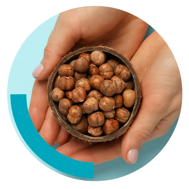 Hazelnut allergy testing and treatment.