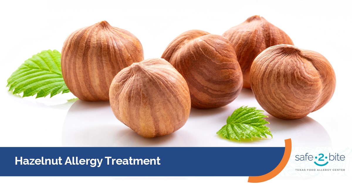 Best Hazelnut Allergy Testing and Treatment in North Texas – Safe2Bite ...