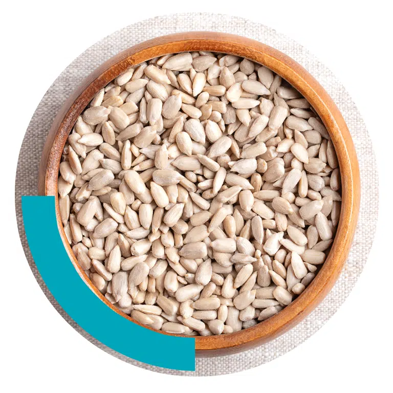 Sunflower seed allergy testing and treatment.