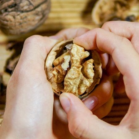 Walnut allergy management in North Texas.